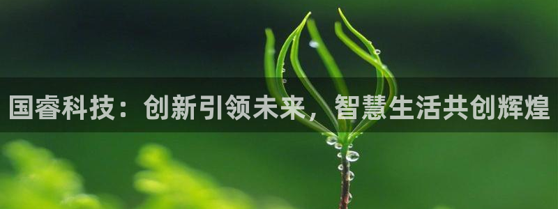 国睿科技：创新引领未来，智慧生活共创辉煌