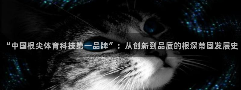 “中国根尖体育科技第一品牌”：从创新到品质的根深蒂固发展史